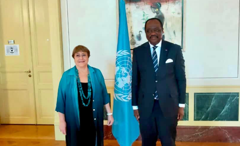 Un émissaire du Cameroun reçu par Michèle Bachelet