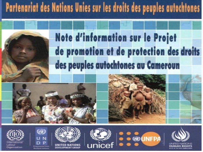 Partenariat des Nations Unies sur les droits des peuples autochtone
